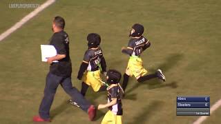 2018 All Out Flag Football Super Bowl Steelers vs 49ers [upl. by Nyrrad]