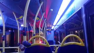 XFE Convert Limp  GAL SE80 On Bus Route 244 Part 2 16 [upl. by Yonah]