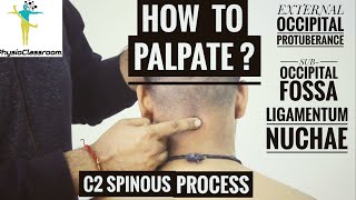 CERVICAL SPINE PALPATION  PART1 [upl. by Carlye]