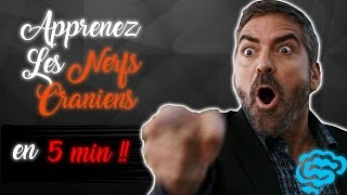 🔴 NE CONFONDEZ PLUS LES NERFS CRANIENS  part2  DR ASTUCE [upl. by Allina]