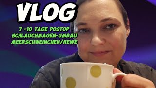 Vlog810 Tage postop Schlauchmagen UmbauMeerschweinchen und ReweLieferservice [upl. by Frere676]