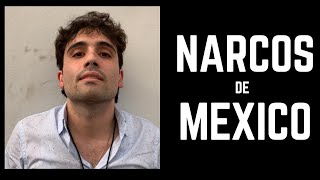 NARCOS DE MEXICO AUDIOLIBRO COMPLETO GRATIS PARA ESCUCHAR VOZ REAL [upl. by Hanley]