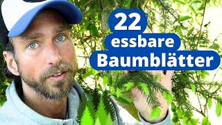 22 essbare Baumblätter  gratis Superfood  Welche Blätter amp Blüten kann man essen [upl. by Tabina]