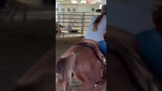 ￼ I tried to fit the whole thing rodeo horsingaroundbarrels horse [upl. by Moyna607]