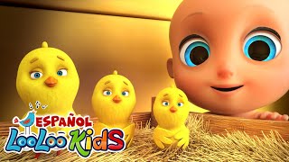 🐤🐥Los Pollitos Dicen Pio Pio  Canciones Infantiles para niños  LooLoo Kids Canciones de Bebe [upl. by Carmelia]