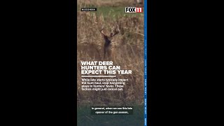 Deer Hunt 2024 Health of the Herd [upl. by Htebasil]