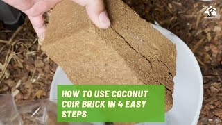 How to use coconut coir brick in 4 easy steps [upl. by Orvas]