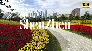 Shenzhen 2024 Explore the Citys Splendor Culture  Urban Walk  CityWalk  4K HDR [upl. by Durrell]