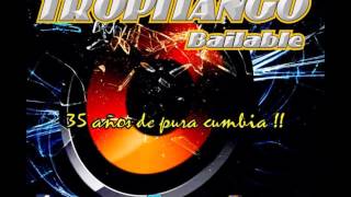 TROPITANGO  VEN JUNTO A MI [upl. by Kronick]