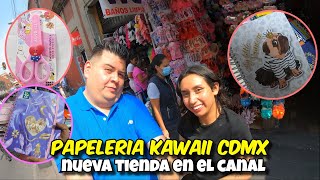 PAPELERIA KAWAII CDMX mayoreo🥑📗 quotDescubre la mejor papelería kawaii al por mayor en la CDMXquot [upl. by Dylane386]