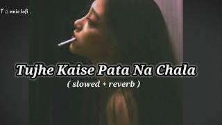 Tujhe Kaise Pata Na Chala  Slowed  Reverb   tanlofi  LofiAfterYou [upl. by Enahc]