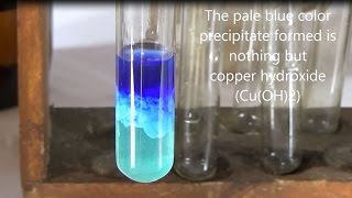 Reaction of copper sulphate with Ammonium hydroxide [upl. by Andert585]