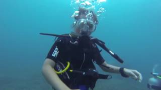 Tioman dive JUNE [upl. by Anastasia389]