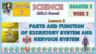 SCIENCE 6 QUARTER 2 WEEK 3 LESSON 2  PARTS AND FUNCTION OF EXCRETORY SYSTEM AND NERVOUS SYSTEM [upl. by Reteid]