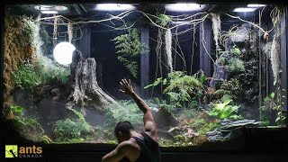 Saying Goodbye to Some Beloved Animals in My Giant Rainforest Vivarium [upl. by Kimberley256]