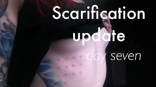 Day Seven Scarification Update [upl. by Ennaeirrac]