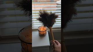 Window blinds cleaning Hack using ostrich feather duster shorts cleaninghacks [upl. by Razatlab]