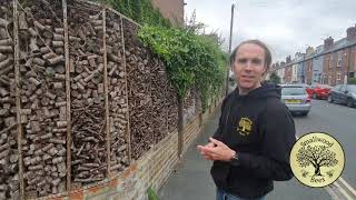 The Bug House Fence My Wildlife Garden [upl. by Thacher]