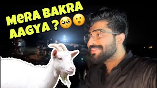 ￼Barish mey Bakra mandi k rates high 😰  Eid se 1 din pehle tak 😨  Mandi Vlog 🐑🐄 [upl. by Liatnahs]