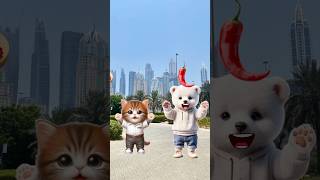 cute kitten and bear eating chili cat trendingshorts cutecat [upl. by Tor]