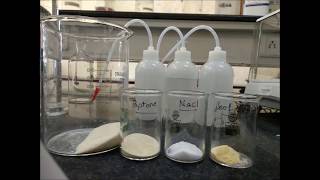 Nutrient agar preparation by praveen kumar yekula [upl. by Ayouqat]