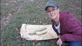 Taking a Luffa Sponge out of a Luffa Gourd [upl. by Bernita853]