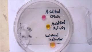 microscale chem experiment [upl. by Pansie]