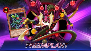 FULL POWER PURE PREDAPLANTS Predaplant Core Card at 3  Rank Season 25  YuGiOh Master Duel [upl. by Zacharie]