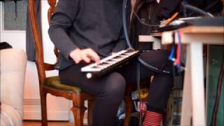 Hohner melodica  piano 36 in session  TR8 riddim [upl. by Selij]