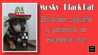 Mosky Black Rat reseña en español [upl. by Aicirtak434]