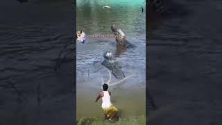 menjaring BUAYA RAWA RAKSASA SAAT MANCING DISUNGAI [upl. by Assert]