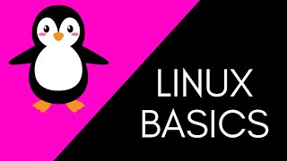 Linux Basics For HACKERS The ONLY COMMANDS you will ever need [upl. by Amandy]