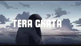 TERA GHATA SONG [upl. by Beore]