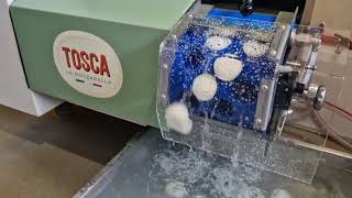 Mozzarella production with Tosca machine complete guide [upl. by Alvin491]