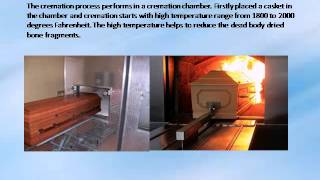 Steps For Cremation Process In Florida [upl. by Attener]