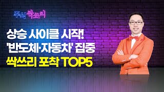 공명 정지우의 주식싹쓰리 상승 사이클 시작 반도체·자동차 집중싹쓰리 포착 TOP5  머니투데이방송 증시 증권 [upl. by Itak784]