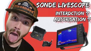 PÊCHE AU LIVE bientôt interdite  pas dinquiétude zéro problème avec les sonde live 😁 [upl. by Sharlene958]