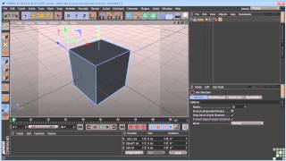 Maxon Cinema 4D R14 Tutorial  Basic Components Of 3D Objects [upl. by Trilly]