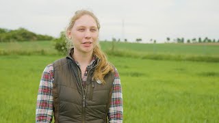 Niederwildprojekt quotWilde Feldflurquot in SachsenAnhalt [upl. by Ganny147]