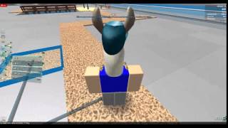 ROBLOX POLL TYCOON 4 ALPHA OSA 1 [upl. by Welcome]