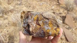 Rockhounding Central Oregon Epic Limb Pull Fall 2023 Hunt for Agates Petrified Wood and Crystals [upl. by Antonin38]