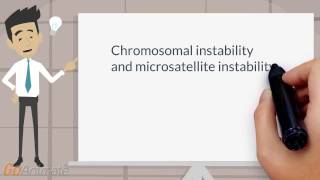 Chromosomal and microsatellite instability [upl. by Hannahsohs]