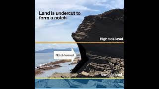 Formation of Sea cliff and wavecut platform [upl. by Howell983]