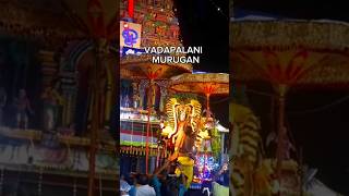 Vadapalani Murugan 🕉️🦚 🙏🏻  Vadapalani  bespecificshiva god vadapalani murugan [upl. by Alarick]