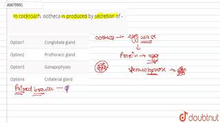 In cockroach ootheca is produced by secretion of [upl. by Kiele]