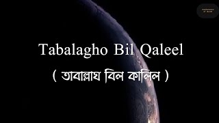 Best Arabic Nasheed Tabalagho Bil Qaleel English amp Bengali Subtitles by Osama Al Safi [upl. by Ennagroeg]