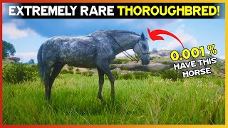 Get This Extremely Rare Dapple Gray Thoroughbred With Location  RDR2 [upl. by Ayamat]