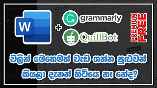 How to use Grammarly Premium and Quillbot at the same time in MS Word in Sinhala  2021 New [upl. by Iila]