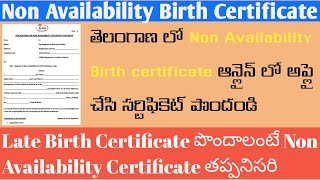 Non Availability Birth Certificate TeluguNon Availability Birth Certificate in Telangana [upl. by Cardie]