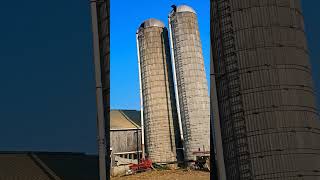 Dont Underestimate Silo Danger [upl. by Admama]